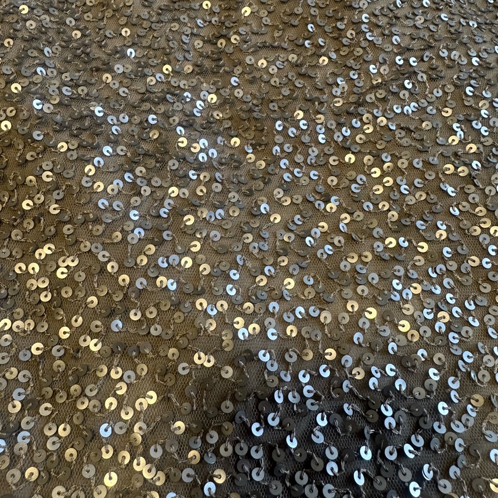 Talbots Silver Sequin knee length Skirt - Picture 2 of 4